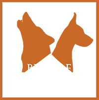 bewolf_new_logo_080817x2