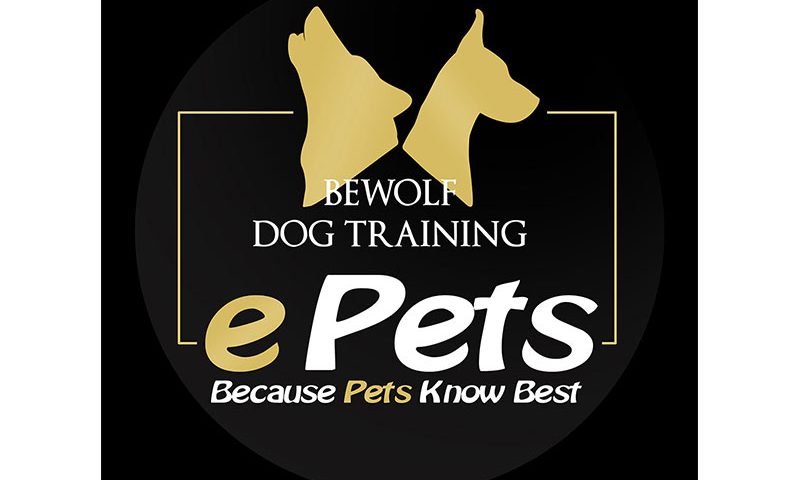 ePets and BeWolf Dog Training