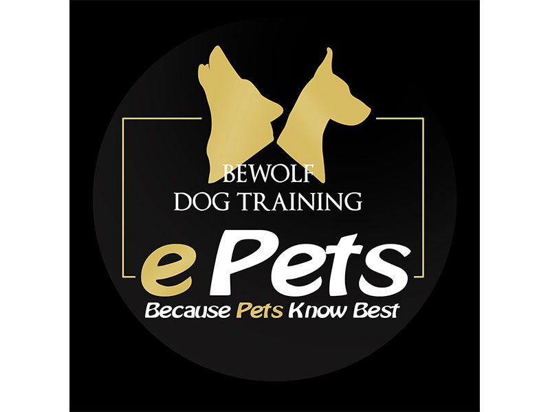 ePets and BeWolf Dog Training